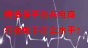 拼多多平臺(tái)在電商行業(yè)處于什么水平